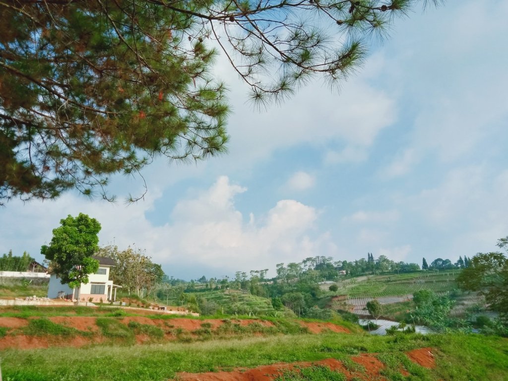 Bogor Raya, Kawasan Potensial untuk Pengembangan Properti